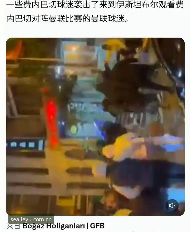 揭秘：世界杯热潮下的签证困局，约旦土耳其球迷的“冷场”真相